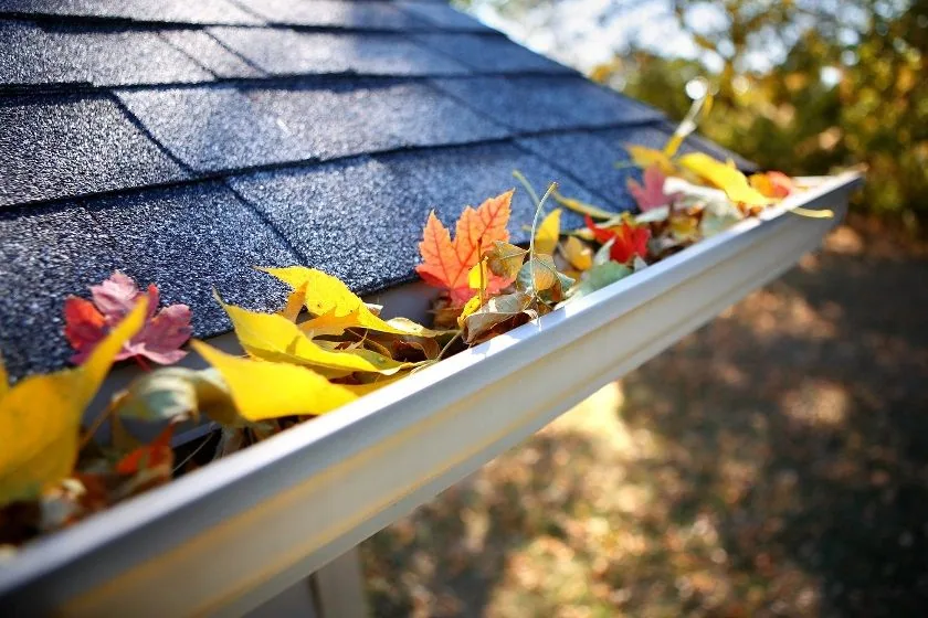 Close up white gutter clogged fall leaves dark shingle roof, Sanford